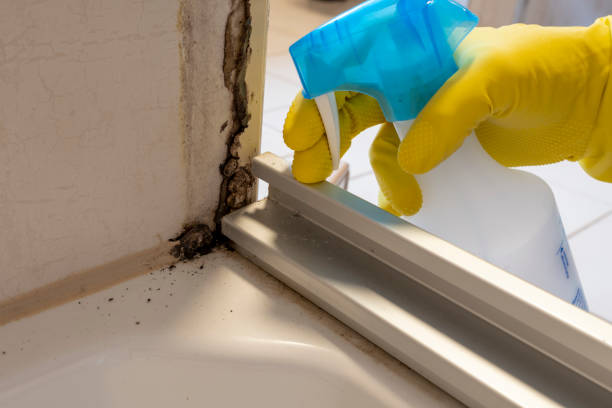 Best Bathroom Mold Remediation in Lanett, AL