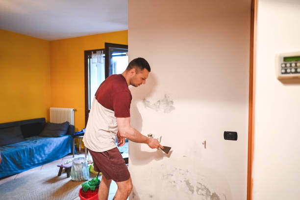 Best Black Mold Remediation in Lanett, AL